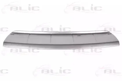 5511003749220P BLIC Спойлер