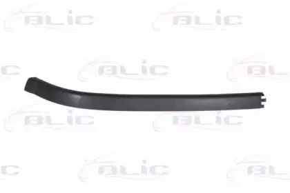 5511005023223Q BLIC Спойлер