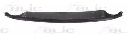 5511-00-5079970P BLIC Спойлер