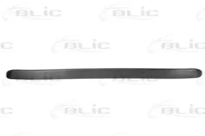 5511-00-5507225P BLIC Спойлер