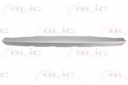 5511006490225P BLIC Спойлер