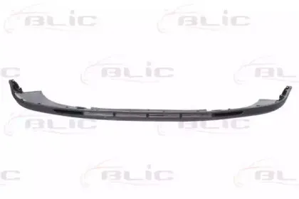 5511007521225Q BLIC Спойлер