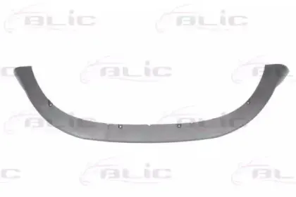 5511-00-9009226P BLIC Спойлер
