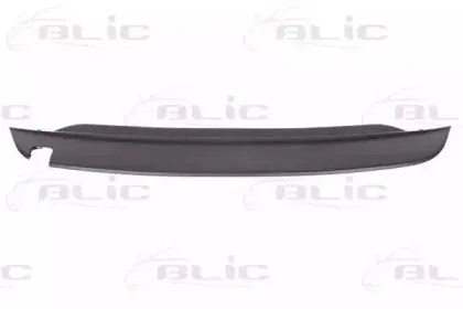 5511009534970Q BLIC Спойлер