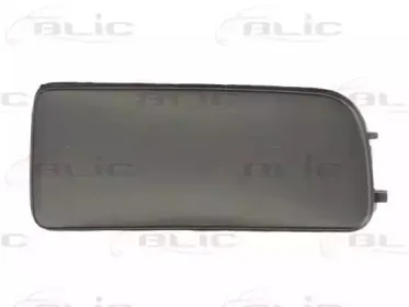 5513-00-0060926P BLIC Покрытие, фара