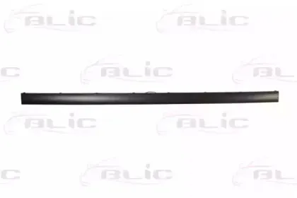 5513-00-0060975P BLIC Облицовка / защитная накладка, буфер