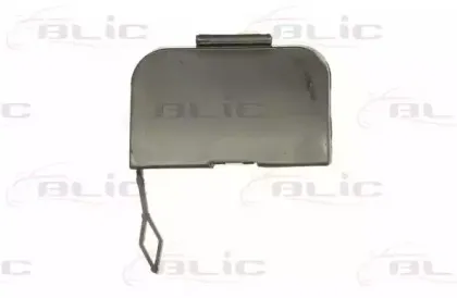 5513-00-0061923P BLIC Облицовка / защитная накладка, буфер