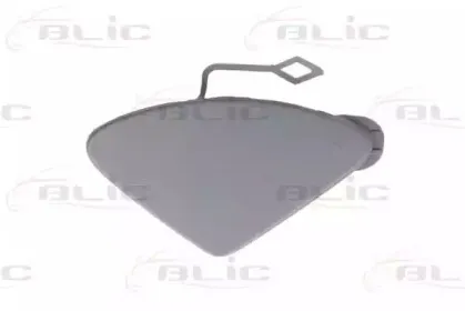 5513000063920Q BLIC Облицовка / защитная накладка, буфер