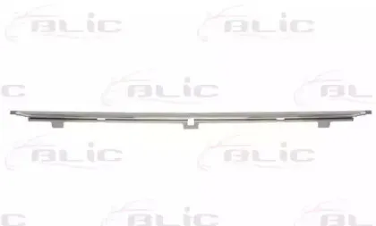 5513-00-0065920P BLIC Облицовка / защитная накладка, буфер