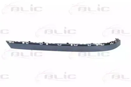 5513000076973PP BLIC Облицовка / защитная накладка, буфер