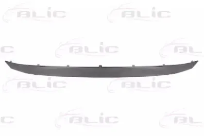 5513-00-1301923P BLIC Облицовка / защитная накладка, облицовка радиатора