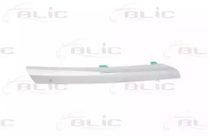 5513-00-1632926P BLIC Облицовка / защитная накладка, облицовка радиатора
