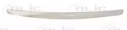 5513-00-2534921P BLIC Облицовка / защитная накладка, облицовка радиатора