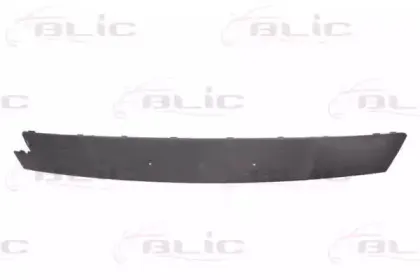 5513005053925Q BLIC Облицовка / защитная накладка, буфер