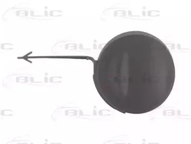 5513005077920Q BLIC Заслонка, буксирный крюк