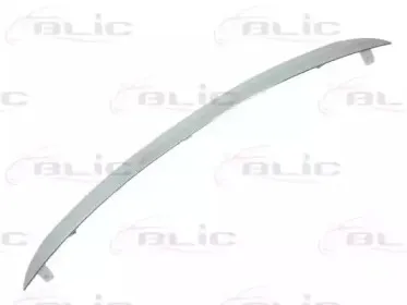 5513-00-6030921P BLIC Облицовка / защитная накладка, облицовка радиатора