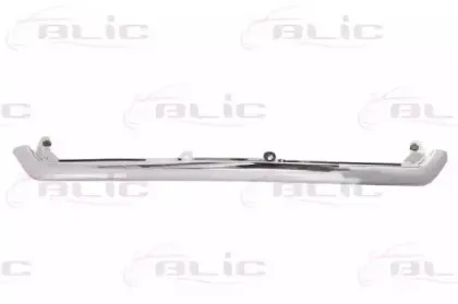 5513-00-6738921P BLIC Облицовка / защитная накладка, облицовка радиатора