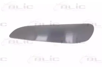 5513008101925Q BLIC Облицовка / защитная накладка, буфер