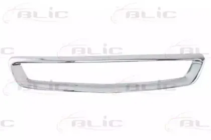 5601-00-2936995P BLIC Рамка, облицовка радиатора