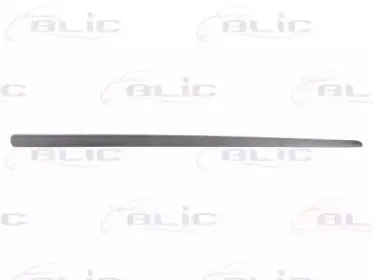 5703-02-2023483P BLIC Облицовка / защитная накладка, дверь