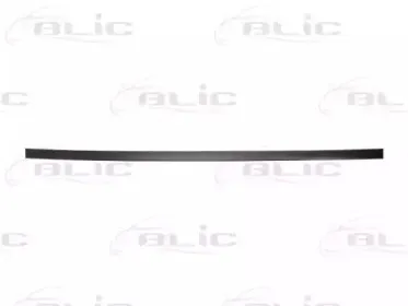 5703-04-0014571P BLIC Облицовка / защитная накладка, дверь