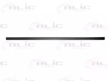 5703-04-0014572P BLIC Облицовка / защитная накладка, дверь