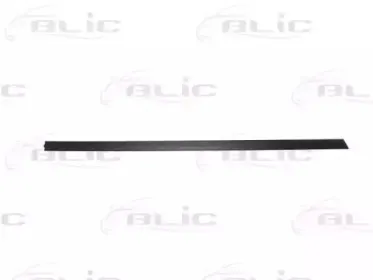 5703-04-0014574P BLIC Облицовка / защитная накладка, дверь