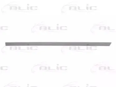 5703-04-0014577P BLIC Облицовка / защитная накладка, дверь