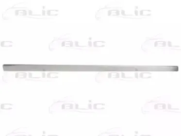 5703-04-0019576P BLIC Облицовка / защитная накладка, дверь