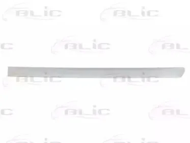 5703-04-0019577P BLIC Облицовка / защитная накладка, дверь