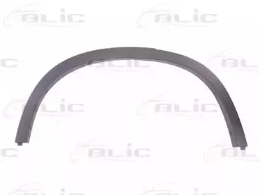 5703-04-0092422P BLIC Облицовка / защитная накладка, крыло