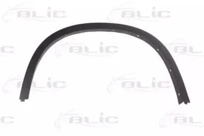 5703-04-0092595P BLIC Облицовка / защитная накладка, крыло