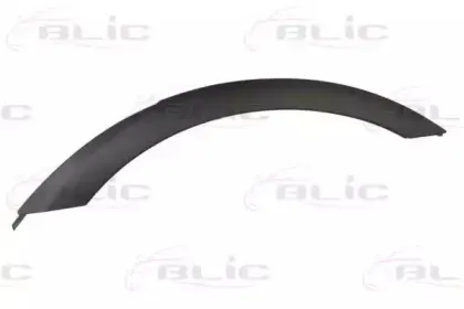 5703-04-0093595P BLIC Облицовка / защитная накладка, крыло