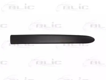 5703-04-0536571P BLIC Облицовка / защитная накладка, дверь