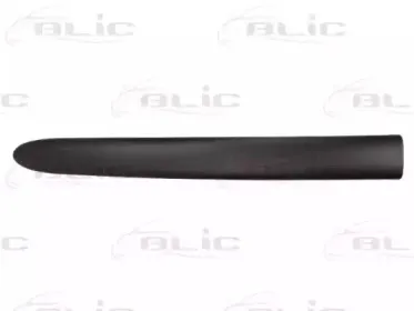 5703-04-0536572P BLIC Облицовка / защитная накладка, дверь