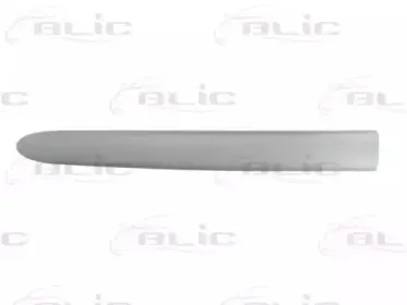 5703-04-0536575P BLIC Облицовка / защитная накладка, дверь