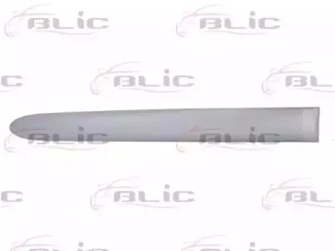 5703-04-0536578P BLIC Облицовка / защитная накладка, дверь