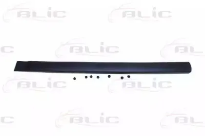 5703-04-0550571P BLIC Облицовка / защитная накладка, дверь