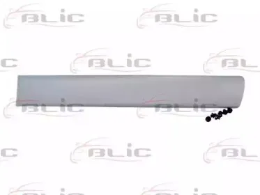 5703-04-0550577P BLIC Облицовка / защитная накладка, дверь