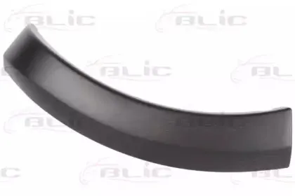 5703-04-1303597P BLIC Облицовка / защитная накладка, крыло