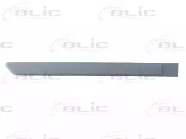 5703-04-2008478P BLIC Облицовка / защитная накладка, крыло