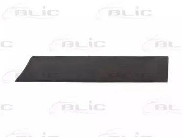 5703-04-2008573P BLIC Облицовка / защитная накладка, дверь