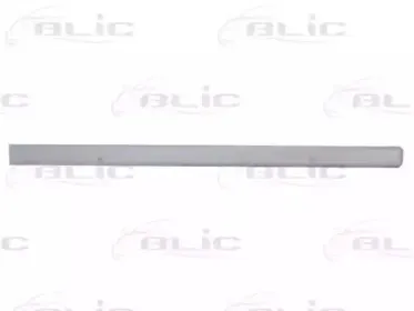 5703-04-2008576P BLIC Облицовка / защитная накладка, дверь