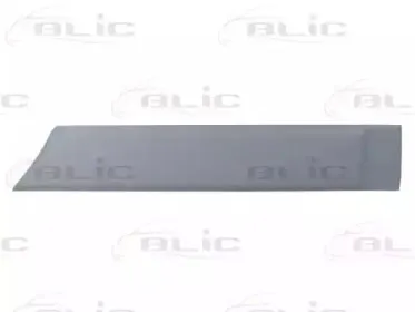 5703-04-2008577P BLIC Облицовка / защитная накладка, дверь