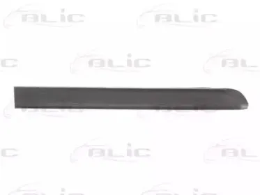 5703-04-2012474P BLIC Облицовка / защитная накладка, крыло