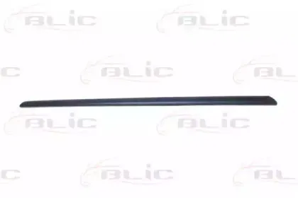 5703-04-2013572P BLIC Облицовка / защитная накладка, дверь