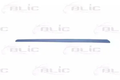 5703-04-2013576P BLIC Облицовка / защитная накладка, дверь