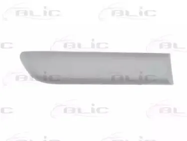 5703-04-2023462PP BLIC Облицовка / защитная накладка, крыло