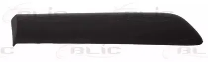 5703-04-2023462P BLIC Облицовка / защитная накладка, крыло