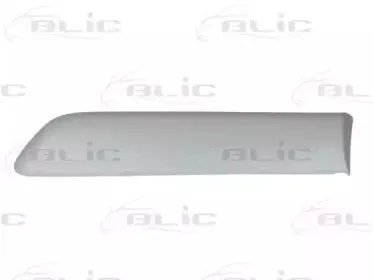 5703-04-2023477P BLIC Облицовка / защитная накладка, крыло